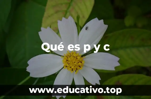Qué es p y c