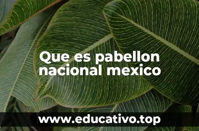 Que es pabellon nacional mexico