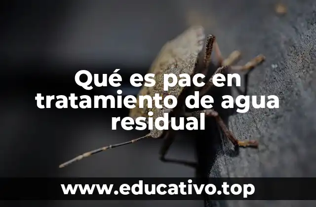 Qué es pac en tratamiento de agua residual