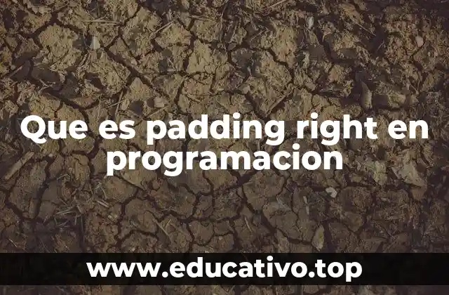 Que es padding right en programacion