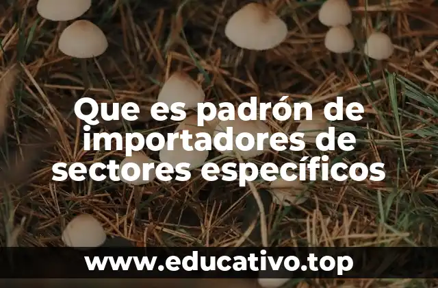 Que es padrón de importadores de sectores específicos