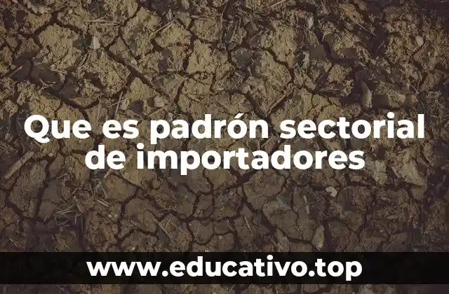 Que es padrón sectorial de importadores