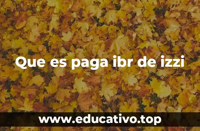 Que es paga ibr de izzi