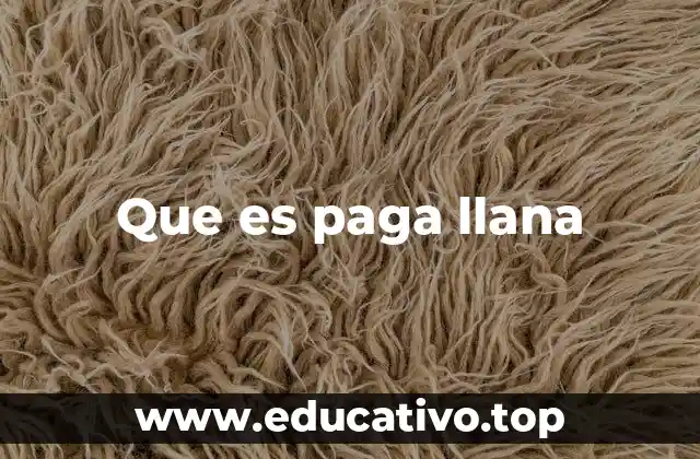 Que es paga llana