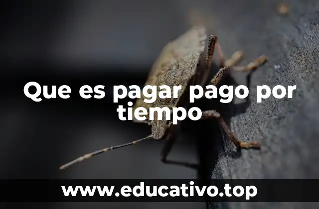 Que es pagar pago por tiempo