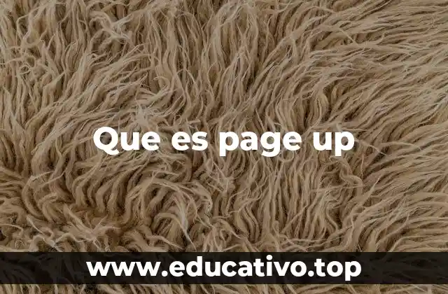 Que es page up