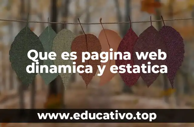Que es pagina web dinamica y estatica