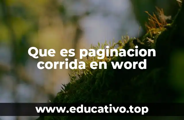 Diferencias entre paginación corrida y por secciones