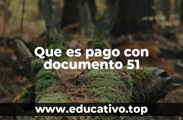 Que es pago con documento 51