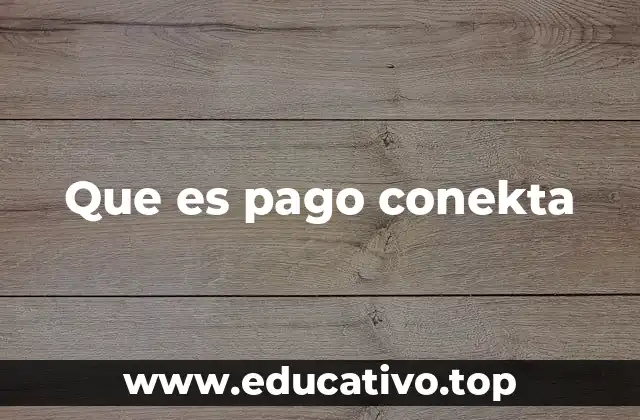 Que es pago conekta