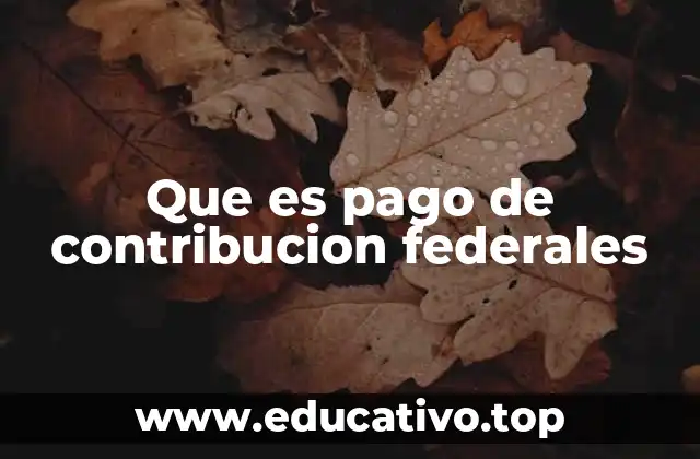 Que es pago de contribucion federales