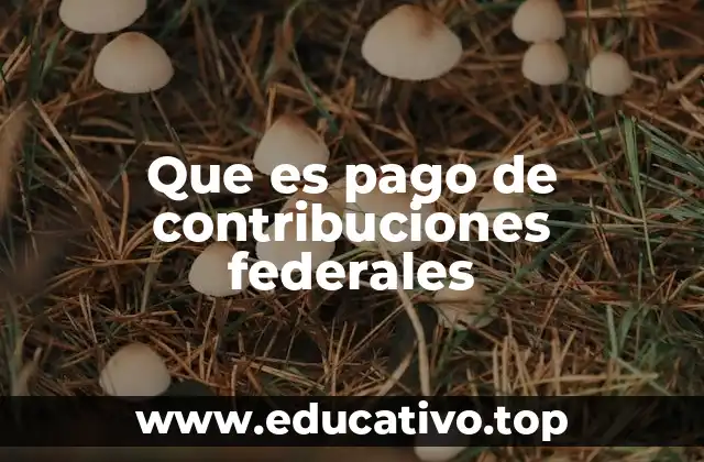 La importancia del cumplimiento fiscal en el desarrollo económico