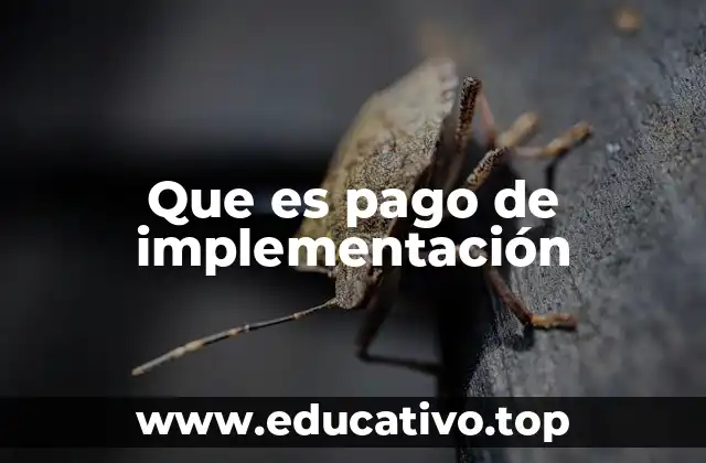 Que es pago de implementación