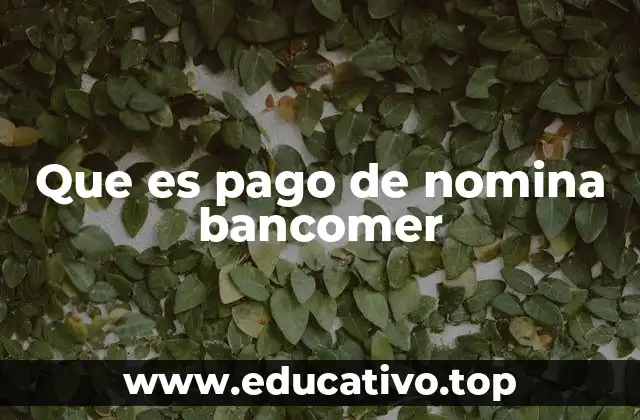Que es pago de nomina bancomer