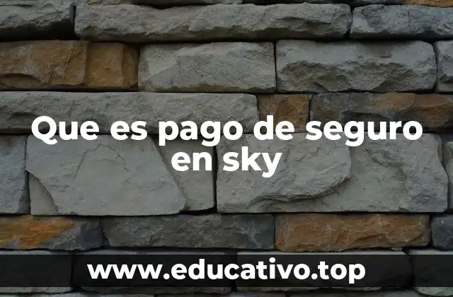 Que es pago de seguro en sky