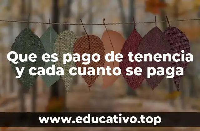 Que es pago de tenencia y cada cuanto se paga