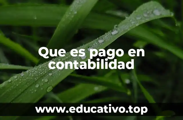 Que es pago en contabilidad