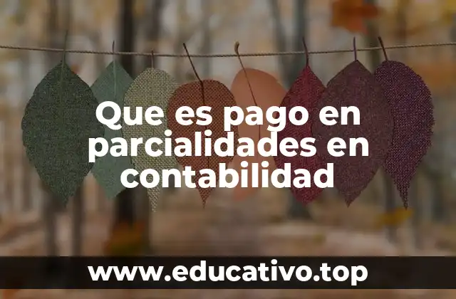 Que es pago en parcialidades en contabilidad