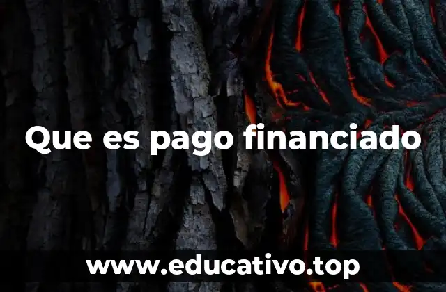 Cómo funciona el sistema de pago financiado en la actualidad