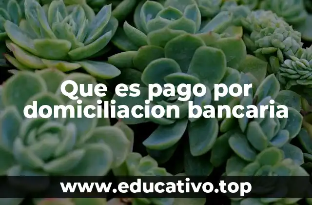 Que es pago por domiciliacion bancaria