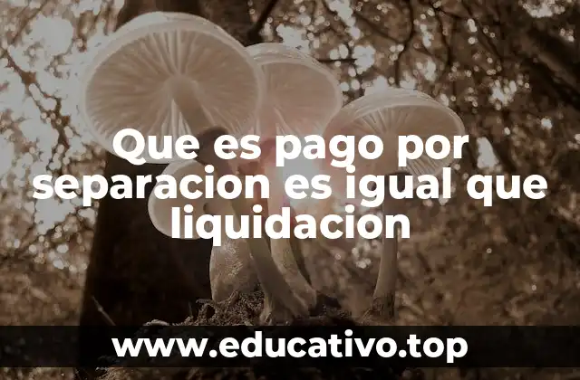 Que es pago por separacion es igual que liquidacion