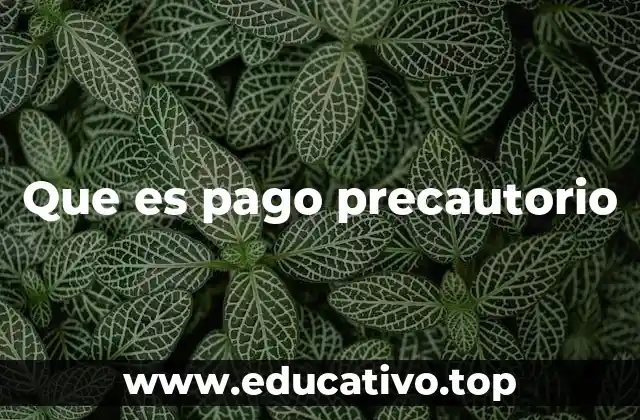 Que es pago precautorio