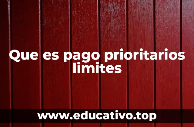 Que es pago prioritarios limites