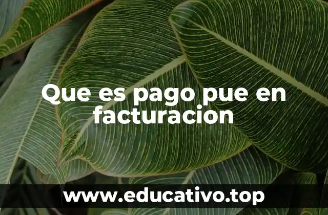 Que es pago pue en facturacion