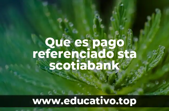 Que es pago referenciado sta scotiabank