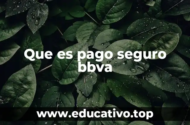 Que es pago seguro bbva