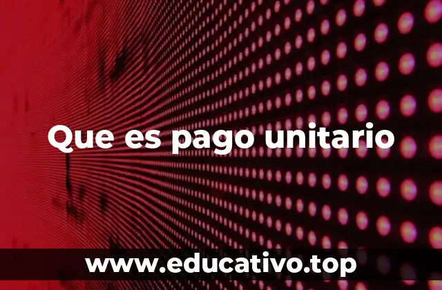 Que es pago unitario