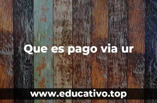 La evolución del pago digital y el papel del UR