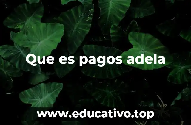 Que es pagos adela