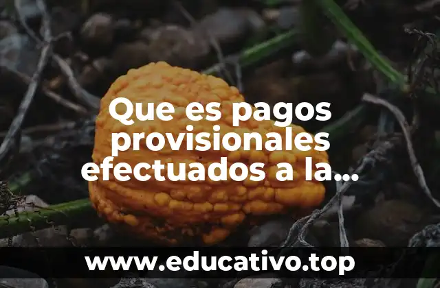 Que es pagos provisionales efectuados a la federación