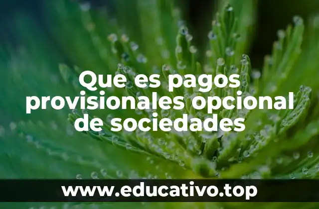 Que es pagos provisionales opcional de sociedades