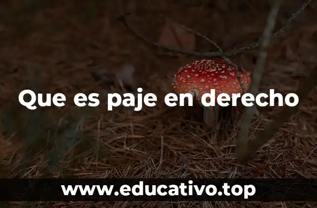 Que es paje en derecho