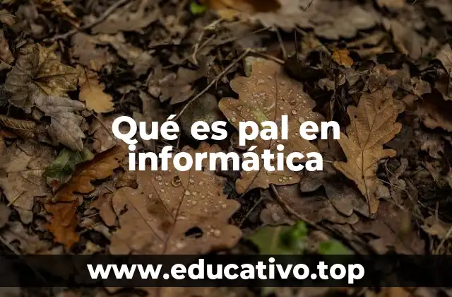 Qué es pal en informática