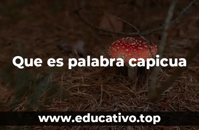 Que es palabra capicua