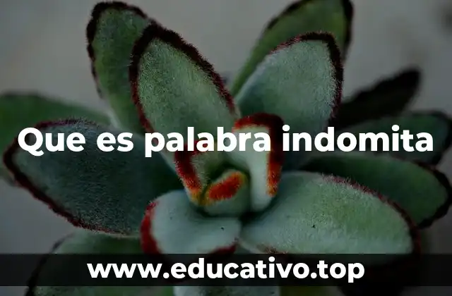 Que es palabra indomita