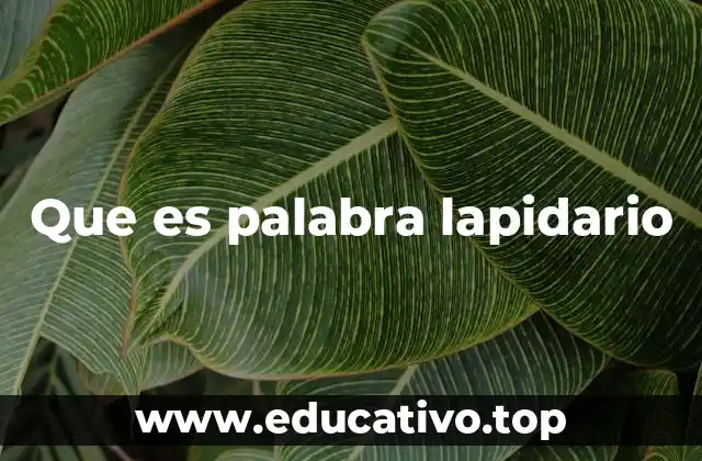 Que es palabra lapidario
