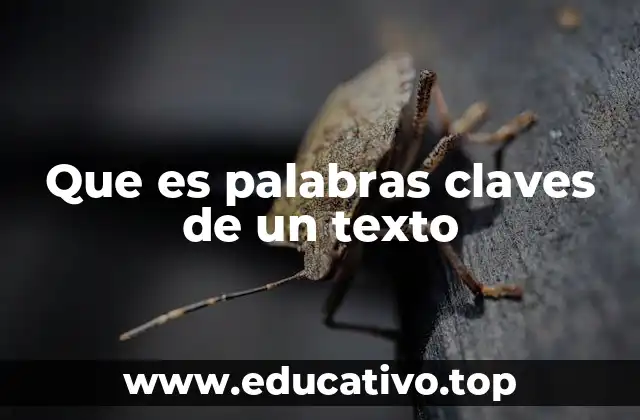 Que es palabras claves de un texto
