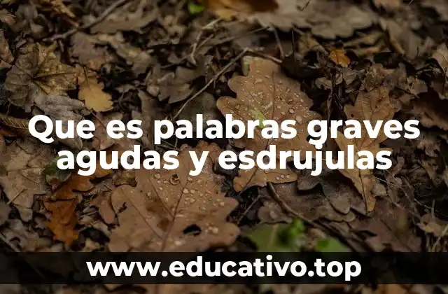 Que es palabras graves agudas y esdrujulas