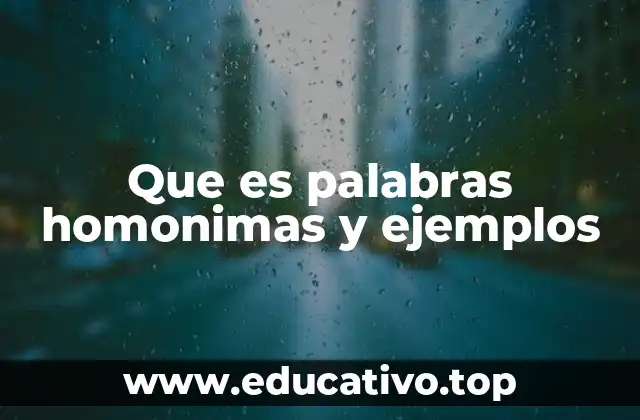 Que es palabras homonimas y ejemplos