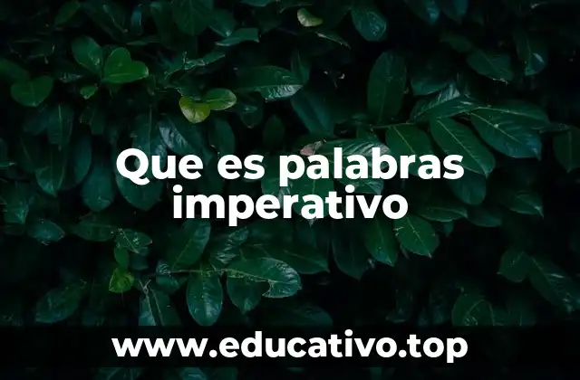 Que es palabras imperativo