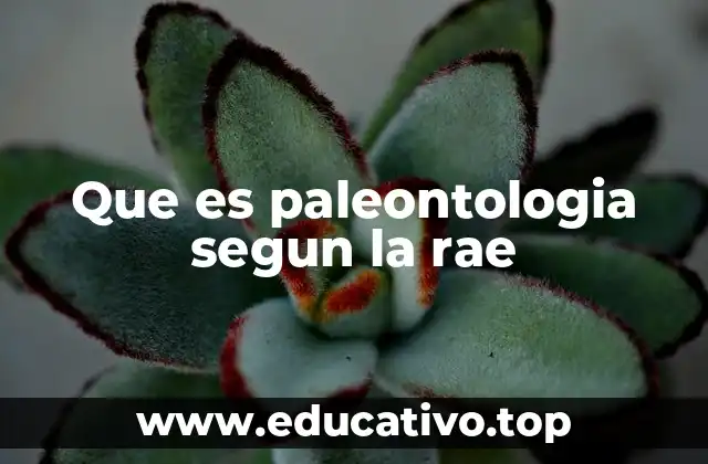 Que es paleontologia segun la rae