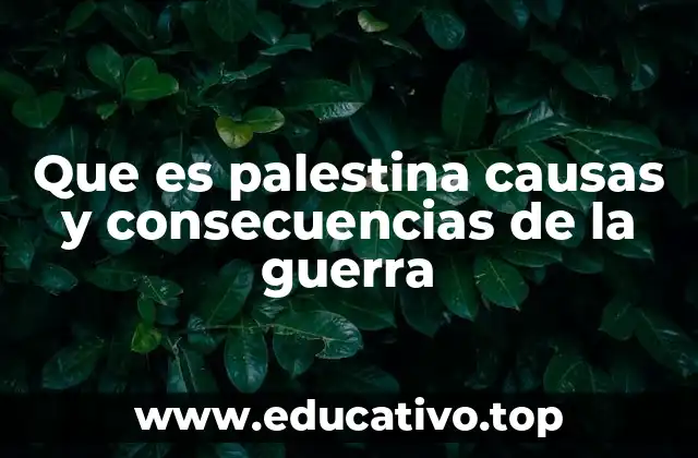 Que es palestina causas y consecuencias de la guerra