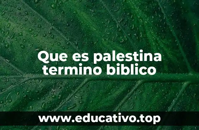 Que es palestina termino biblico