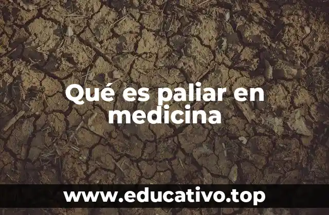 Qué es paliar en medicina