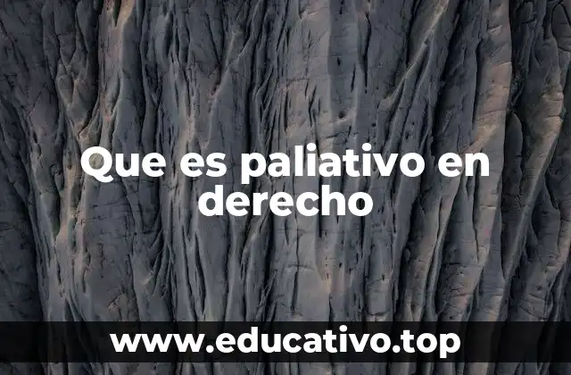 Que es paliativo en derecho