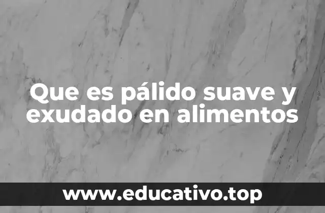 Que es pálido suave y exudado en alimentos